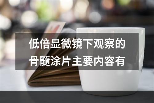 低倍显微镜下观察的骨髓涂片主要内容有