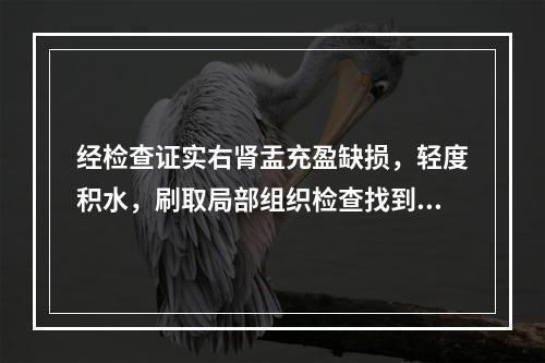 经检查证实右肾盂充盈缺损，轻度积水，刷取局部组织检查找到癌细