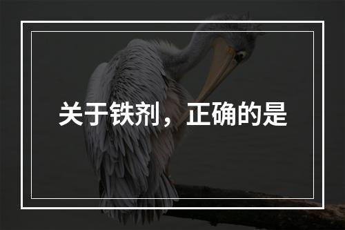 关于铁剂，正确的是