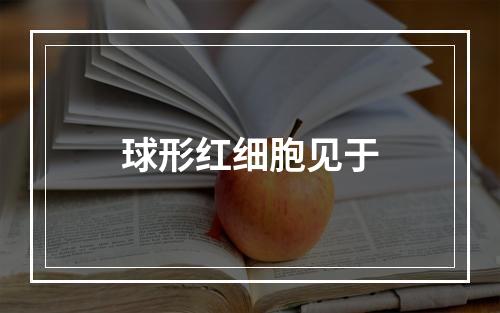 球形红细胞见于