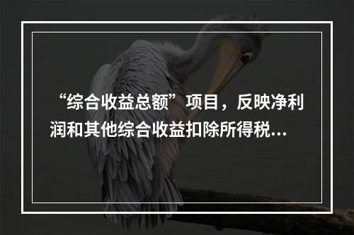 “综合收益总额”项目，反映净利润和其他综合收益扣除所得税影响