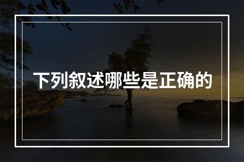 下列叙述哪些是正确的