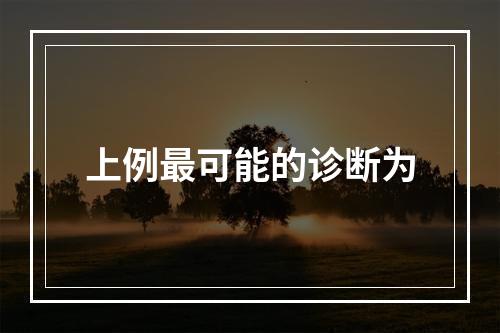 上例最可能的诊断为