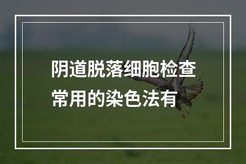 阴道脱落细胞检查常用的染色法有