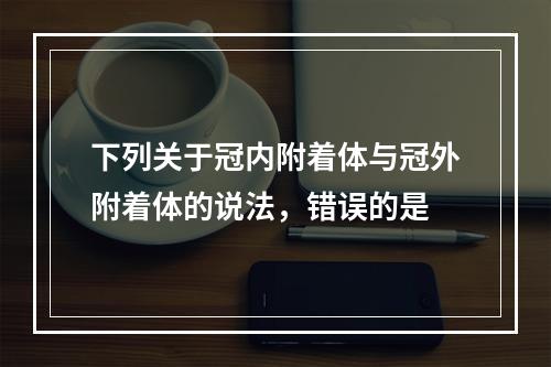 下列关于冠内附着体与冠外附着体的说法，错误的是