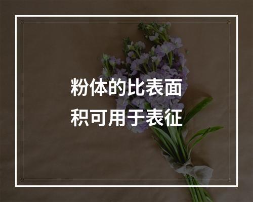 粉体的比表面积可用于表征