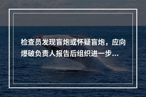 检查员发现盲炮或怀疑盲炮，应向爆破负责人报告后组织进一步及检