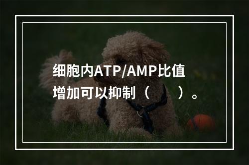 细胞内ATP/AMP比值增加可以抑制（　　）。