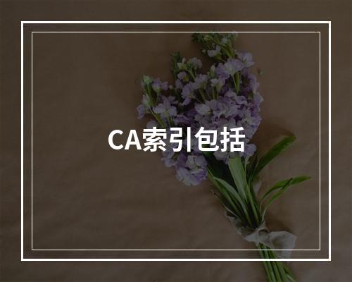 CA索引包括