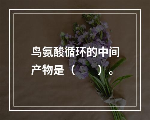 鸟氨酸循环的中间产物是（　　）。