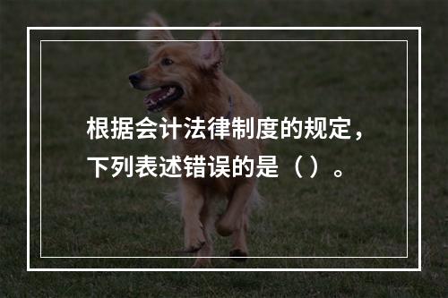 根据会计法律制度的规定，下列表述错误的是（ ）。