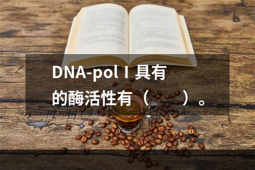 DNA-polⅠ具有的酶活性有（　　）。