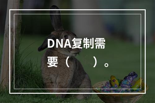 DNA复制需要（　　）。