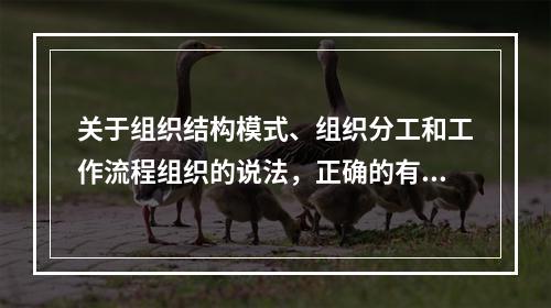 关于组织结构模式、组织分工和工作流程组织的说法，正确的有（　