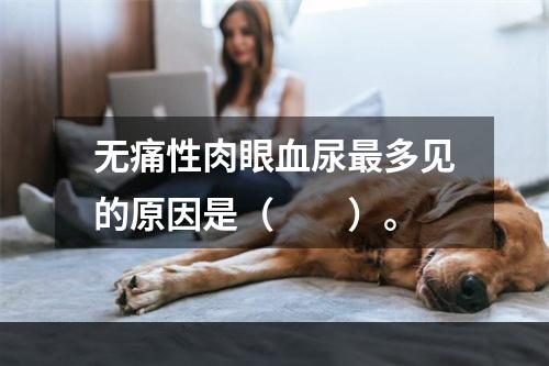 无痛性肉眼血尿最多见的原因是（　　）。