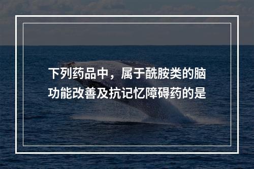 下列药品中，属于酰胺类的脑功能改善及抗记忆障碍药的是