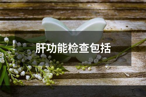 肝功能检查包括