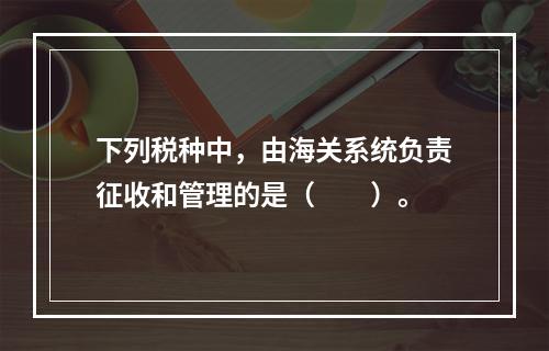 下列税种中，由海关系统负责征收和管理的是（　　）。