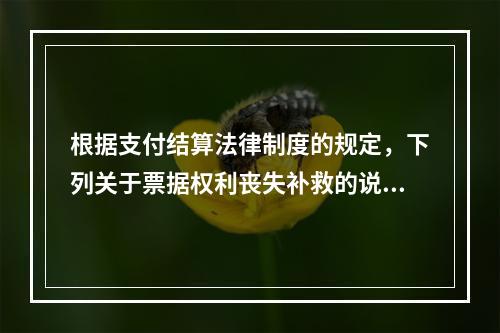 根据支付结算法律制度的规定，下列关于票据权利丧失补救的说法中