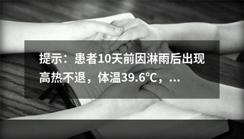 提示：患者10天前因淋雨后出现高热不退，体温39.6℃，伴有