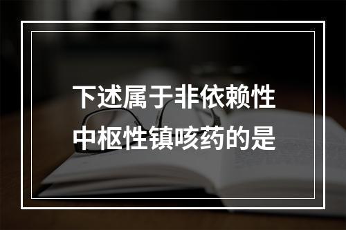 下述属于非依赖性中枢性镇咳药的是