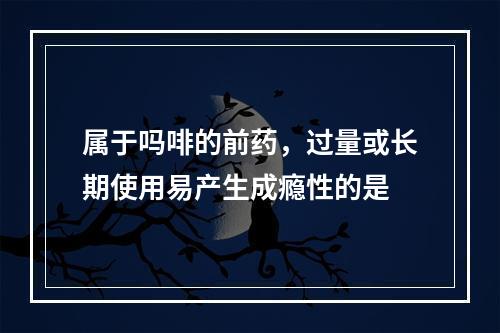 属于吗啡的前药，过量或长期使用易产生成瘾性的是