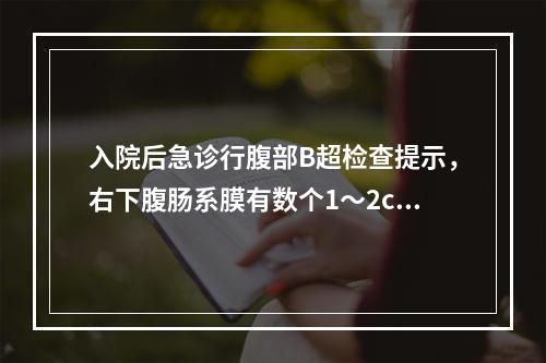 入院后急诊行腹部B超检查提示，右下腹肠系膜有数个1～2cm大