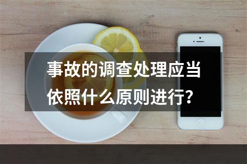 事故的调查处理应当依照什么原则进行？