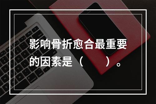 影响骨折愈合最重要的因素是（　　）。