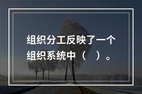 组织分工反映了一个组织系统中（　）。