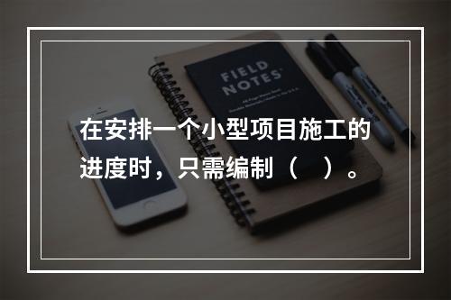 在安排一个小型项目施工的进度时，只需编制（　）。