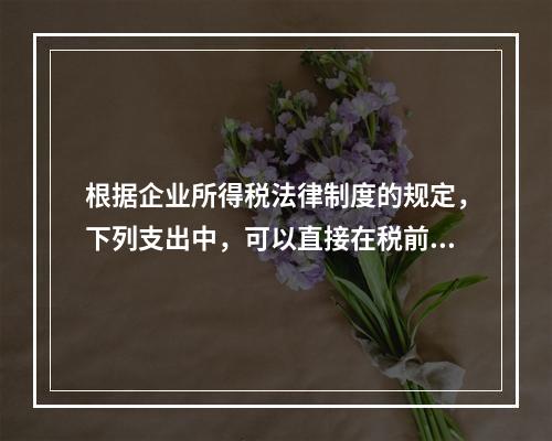 根据企业所得税法律制度的规定，下列支出中，可以直接在税前扣除