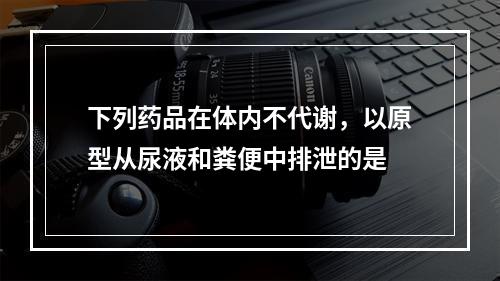 下列药品在体内不代谢，以原型从尿液和粪便中排泄的是