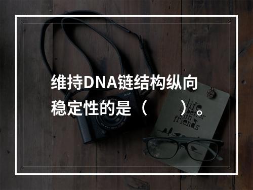 维持DNA链结构纵向稳定性的是（　　）。