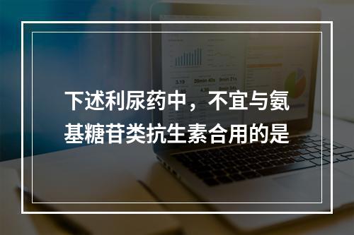 下述利尿药中，不宜与氨基糖苷类抗生素合用的是