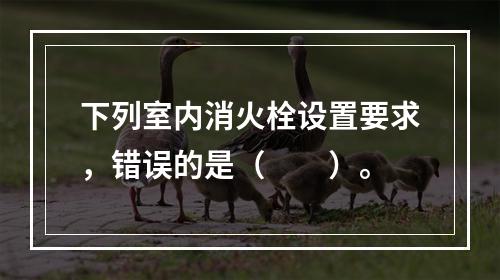 下列室内消火栓设置要求，错误的是（　　）。