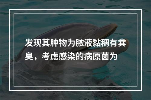 发现其肿物为脓液黏稠有粪臭，考虑感染的病原菌为