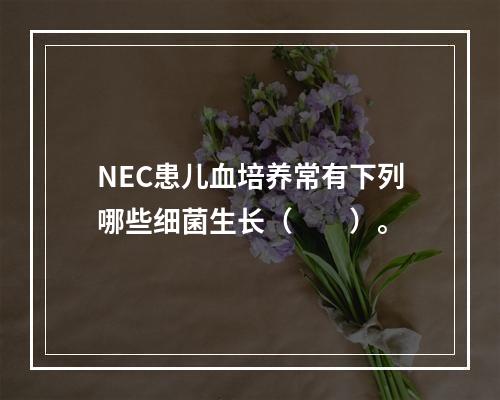 NEC患儿血培养常有下列哪些细菌生长（　　）。