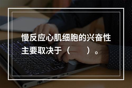 慢反应心肌细胞的兴奋性主要取决于（　　）。