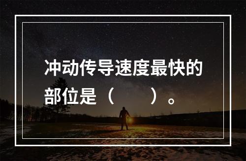 冲动传导速度最快的部位是（　　）。