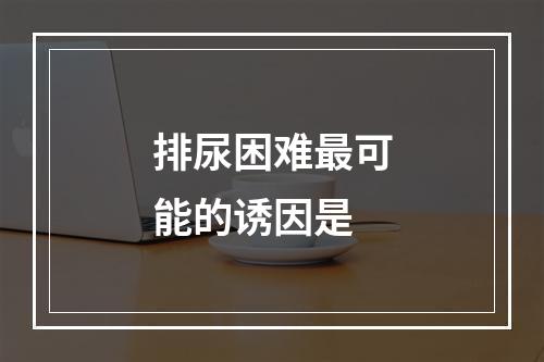 排尿困难最可能的诱因是