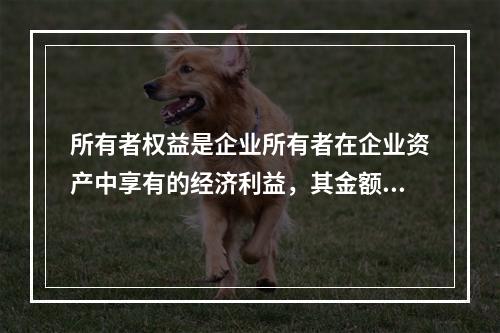 所有者权益是企业所有者在企业资产中享有的经济利益，其金额为企