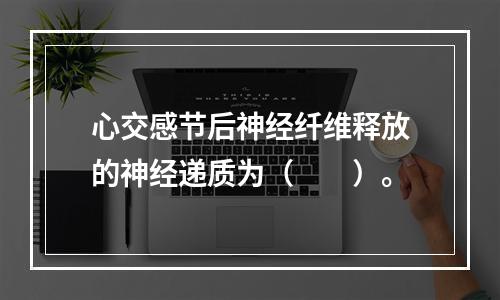 心交感节后神经纤维释放的神经递质为（　　）。