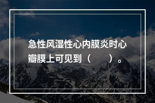 急性风湿性心内膜炎时心瓣膜上可见到（　　）。