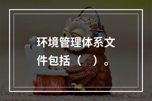 环境管理体系文件包括（　）。