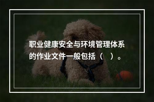 职业健康安全与环境管理体系的作业文件一般包括（　）。