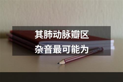 其肺动脉瓣区杂音最可能为