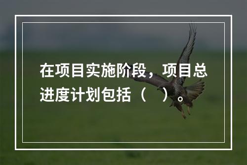 在项目实施阶段，项目总进度计划包括（　）。