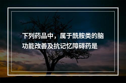 下列药品中，属于酰胺类的脑功能改善及抗记忆障碍药是