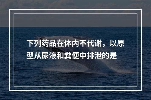 下列药品在体内不代谢，以原型从尿液和粪便中排泄的是